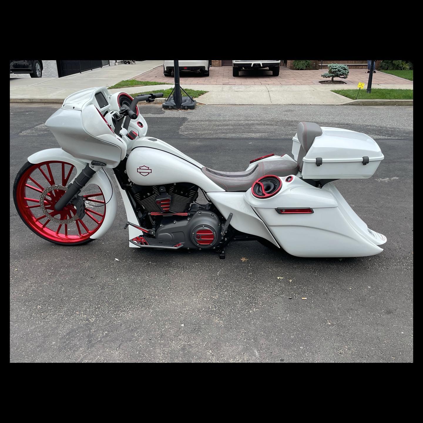 Paulie's White 26 RG