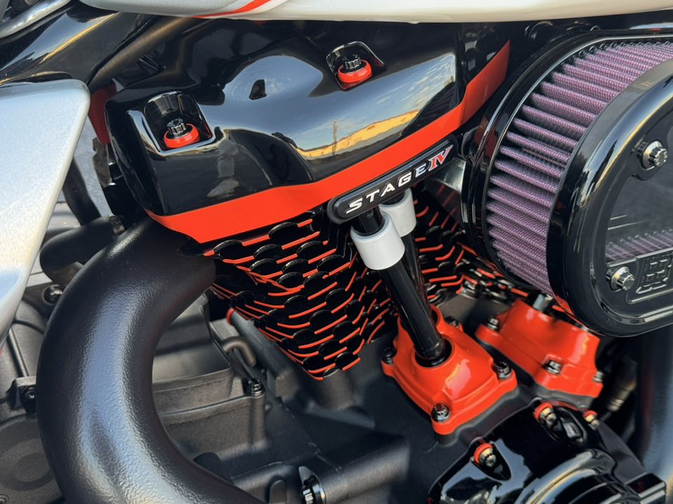 2025 21" Fat Tire Hybrid
