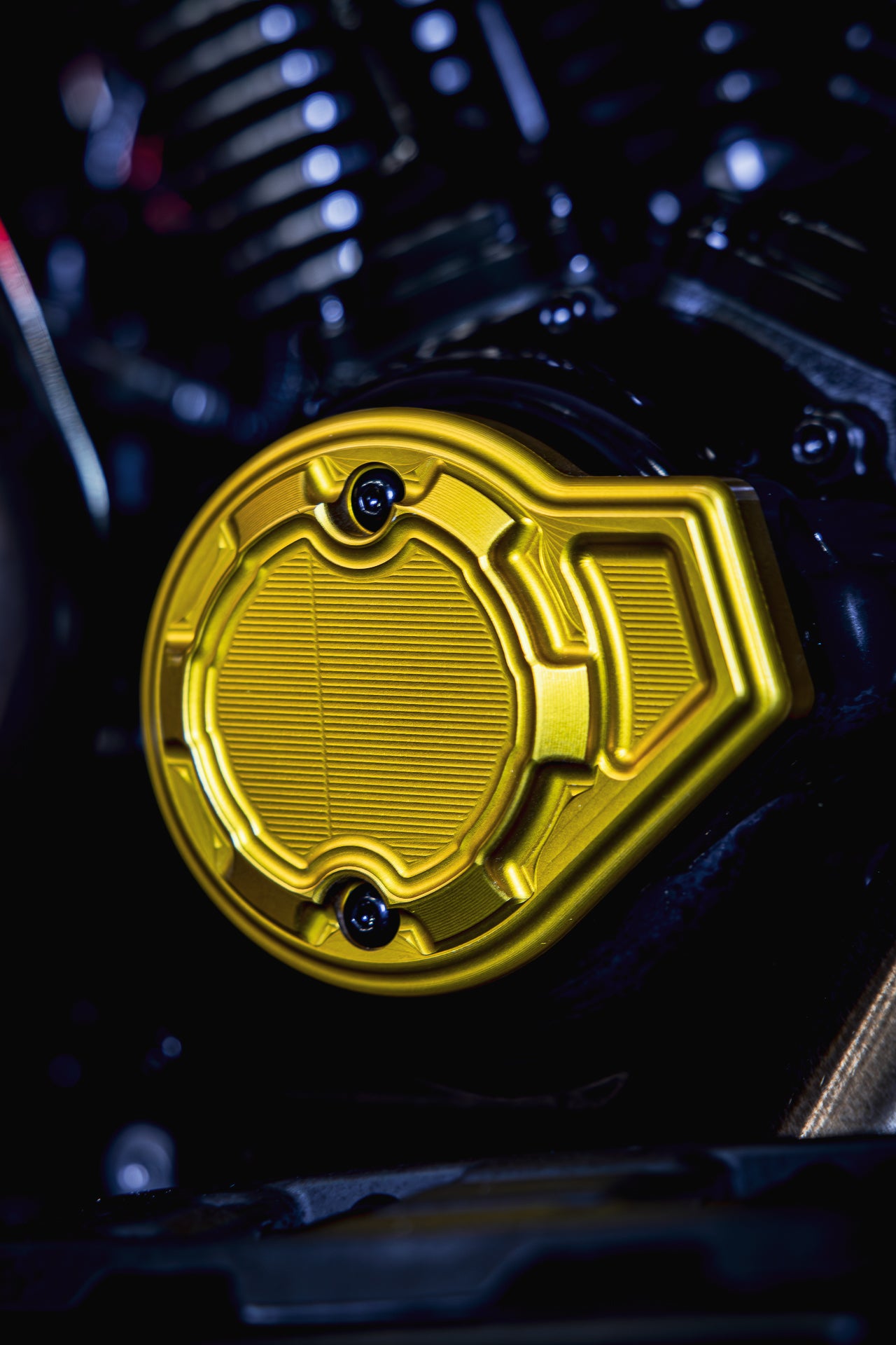 Timing Cover (23.5+ Harley-Davidson Touring)