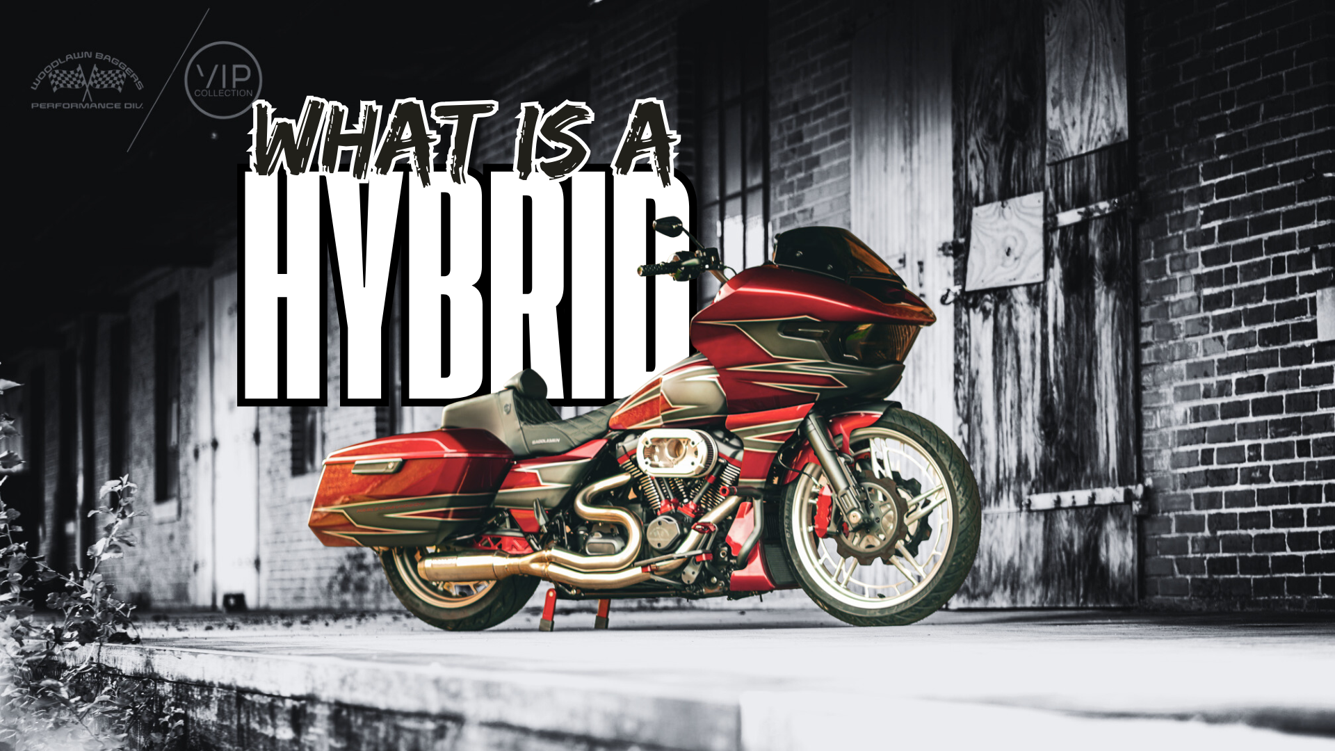 What is a Woodlawn Baggers Hybrid Bagger