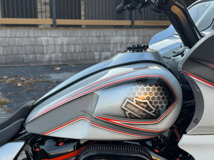 2025 21" Fat Tire Hybrid