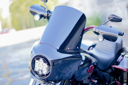 2022 ROAD KING SPECIAL