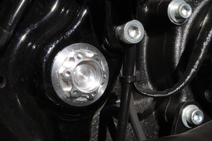 Swingarm pivot shaft cover