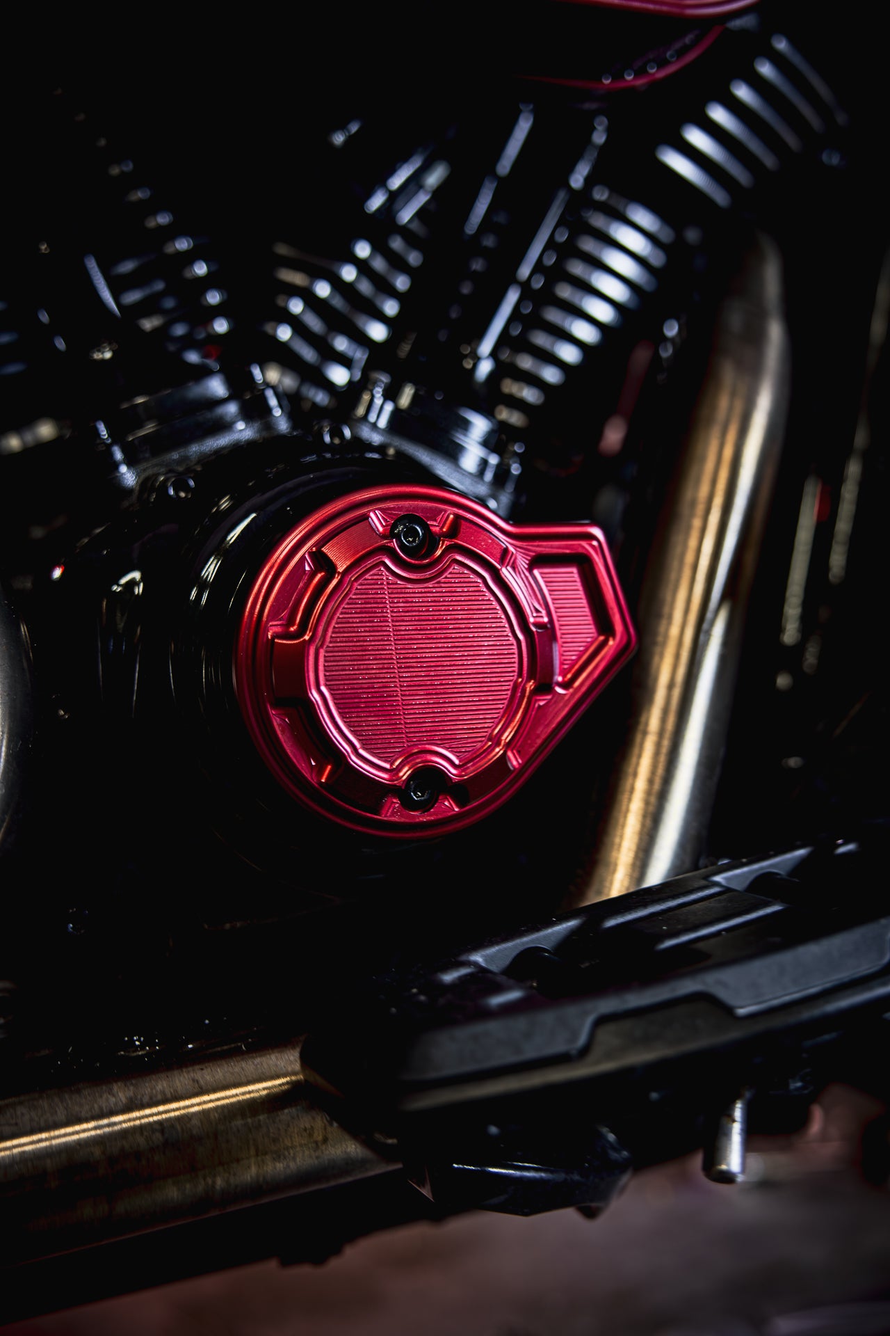 Timing Cover (23.5+ Harley-Davidson Touring)